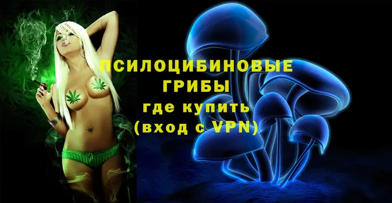 darknet как зайти  ОМГ ОМГ   Псилоцибиновые грибы Magic Shrooms  Бирюсинск  купить закладку 